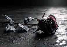 Venus Inanna Underworld - Venus Astrology Podcast - Venus Rising by Ellie Cleary